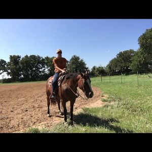 Meet your Posher, June